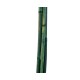 Green bamboo 20-22mm diameter