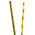 Synthetic bamboo