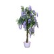 purple wisteria