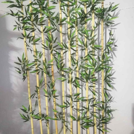 Bamboo 0008
